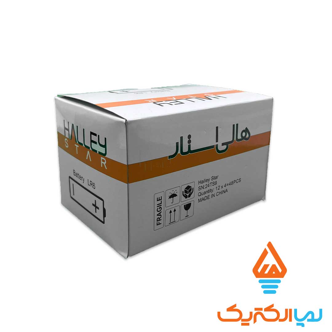 باتری قلمی آلکالاین هالی استار 2 باتری قلمی آلکالاین کارتی هالی استار - Image 2