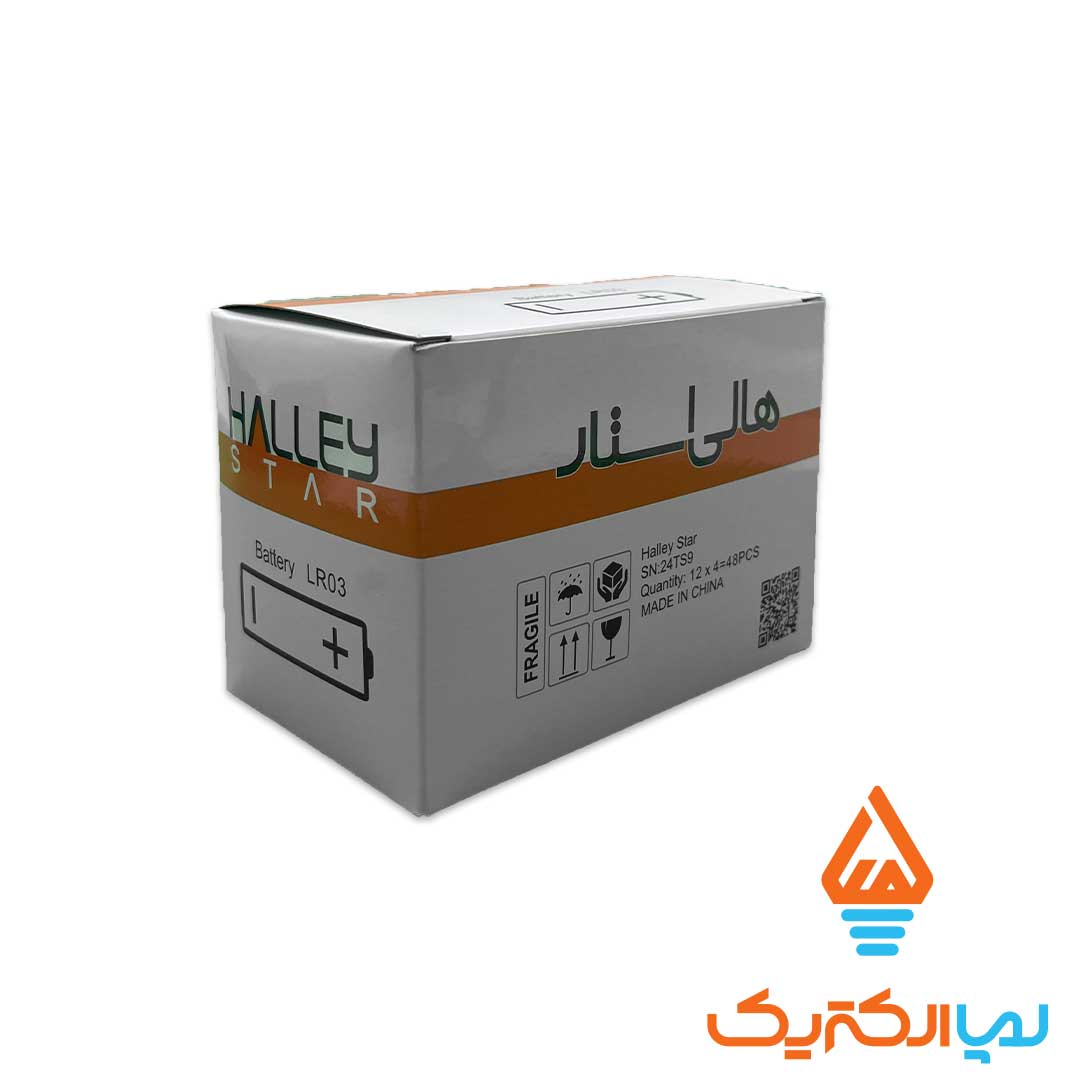 باتری نیم قلمی آلکالاین هالی استار 2 باتری نیم قلمی آلکالاین کارتی هالی استار - Image 2