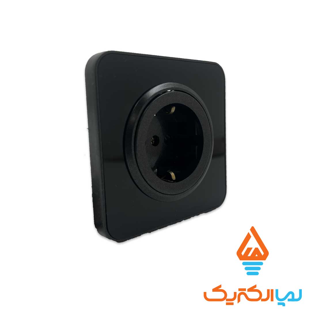 ارت مشکی اسپیناس 1 پریز ارت اسپیناس ایران الکتریک - Image 3