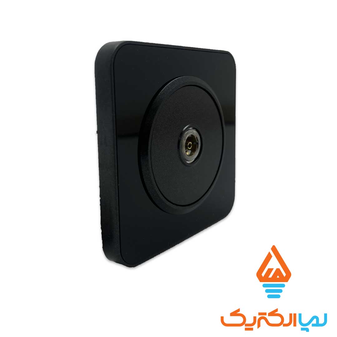 انتن مشکی اسپیناس 1 پریز آنتن اسپیناس ایران الکتریک - Image 3