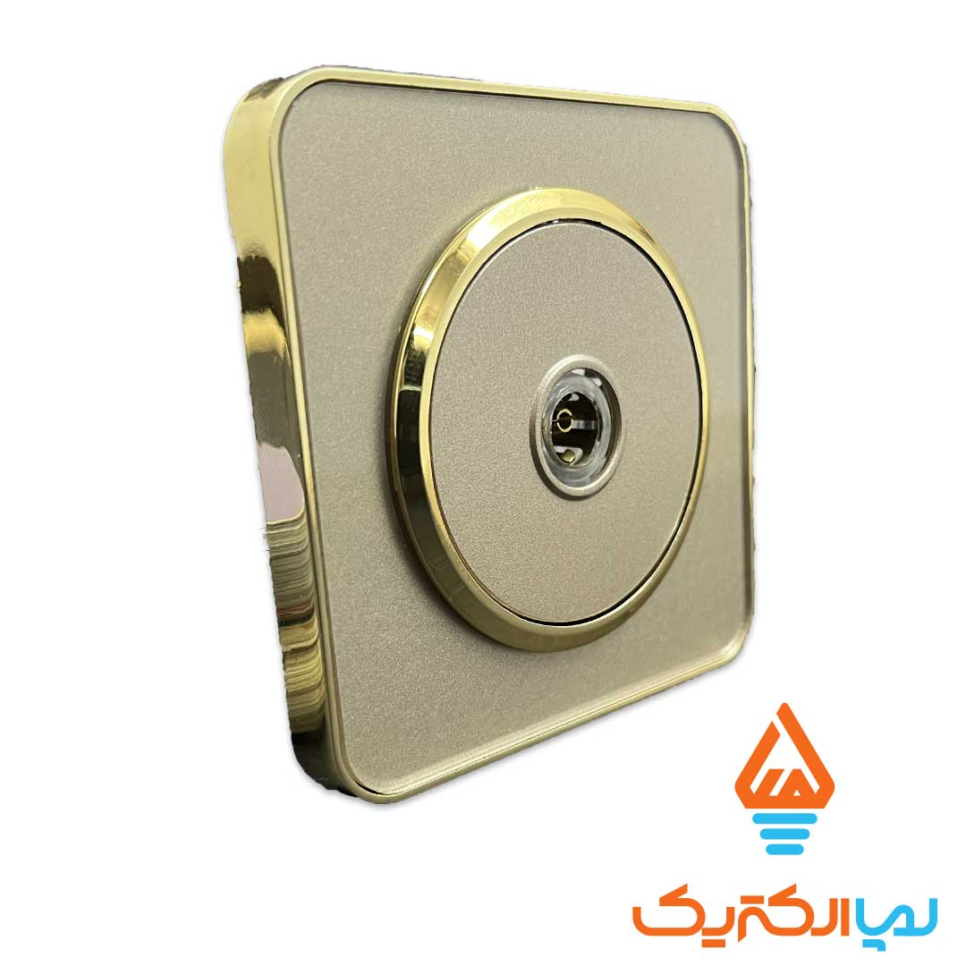 اسپیناس بژ طلایی ایران الکتریک آنتن 1 پریز آنتن اسپیناس ایران الکتریک - Image 5