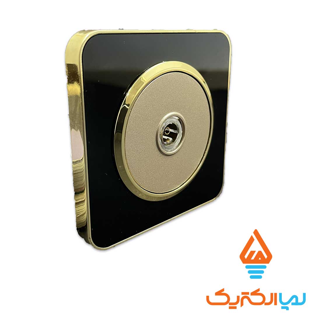 اسپیناس مشکی طلایی بژ ایران الکتریک انتن 1 پریز آنتن اسپیناس ایران الکتریک - Image 7