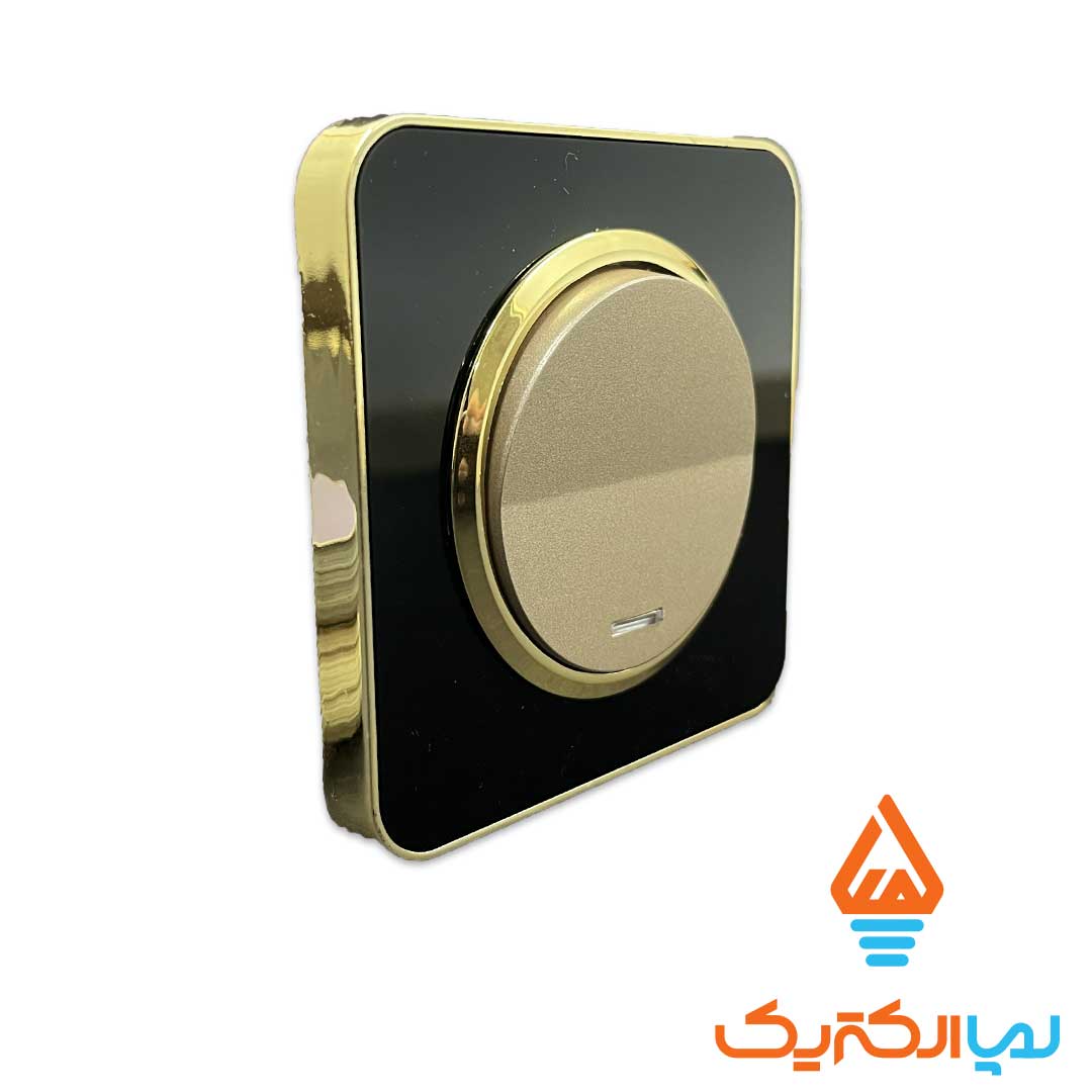 اسپیناس مشکی طلایی بژ ایران الکتریک تک 1 کلید تک پل اسپیناس ایران الکتریک - Image 6