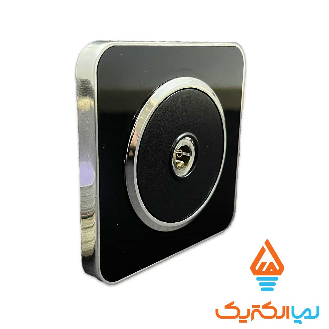 اسپیناس مشکی نقره ای ایران الکتریک آنتن 1 پریز آنتن اسپیناس ایران الکتریک - Image 6